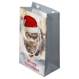 Maine Coon Kerstmis Kat In Sneeuw Klein Cadeauzakje