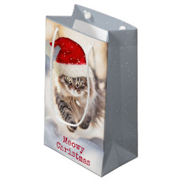 Maine Coon Kerstmis Kat In Sneeuw Klein Cadeauzakje