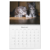 Maine Coon Kitten Agenda Kalender (Mar 2027)
