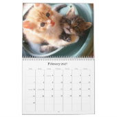Maine Coon Kitten Agenda Kalender (Feb 2027)