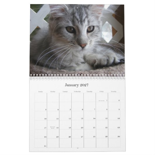 Maine Coon Kitten Agenda Kalender (Jan 2027)