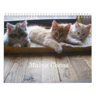 Maine Coon Kitten Agenda Kalender