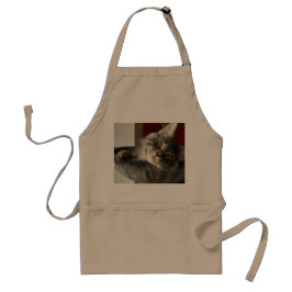 Maine Coon Kitten Apron Standaard Schort