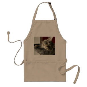 Maine Coon Kitten Apron Standaard Schort