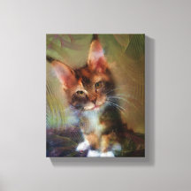 Maine Coon Kitten Art - Pick Me - Rechthoekige kun