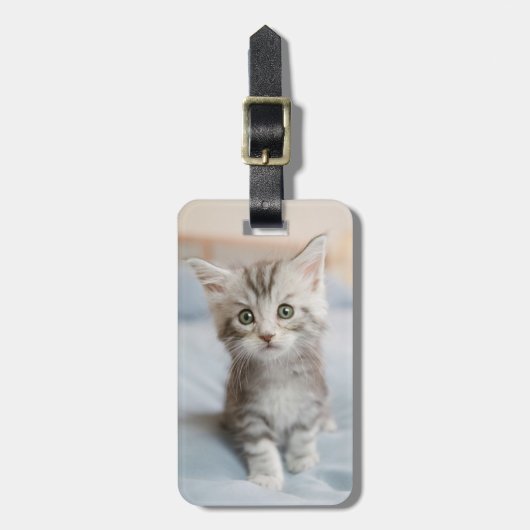 Maine Coon Kitten Bagagelabel (Voorkant verticaal)