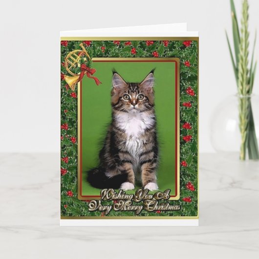 Maine Coon Kitten Blank Kerst Kaart (Voorkant)