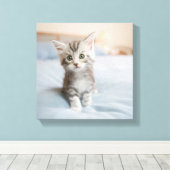 Maine Coon Kitten Canvas Afdruk (Insitu (Houten vloer))