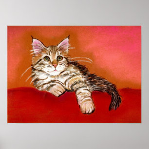 Maine Coon Kitten Cat Portrait Poster