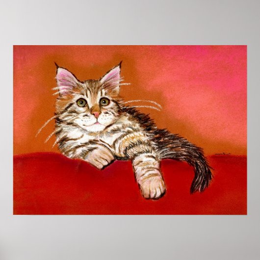 Maine Coon Kitten Cat Portrait Poster (Voorkant)