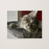 Maine Coon Kitten Jigzaag Puzzle Legpuzzel (Horizontaal)