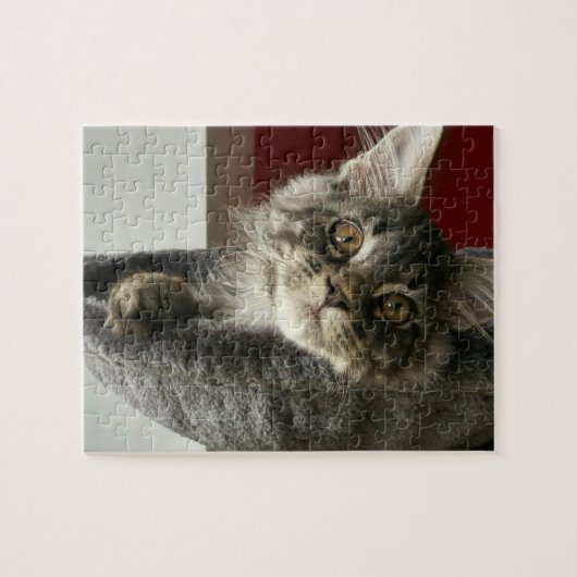 Maine Coon Kitten Jigzaag Puzzle Legpuzzel (Horizontaal)