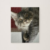 Maine Coon Kitten Jigzaag Puzzle Legpuzzel (Verticaal)