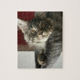 Maine Coon Kitten Jigzaag Puzzle Legpuzzel