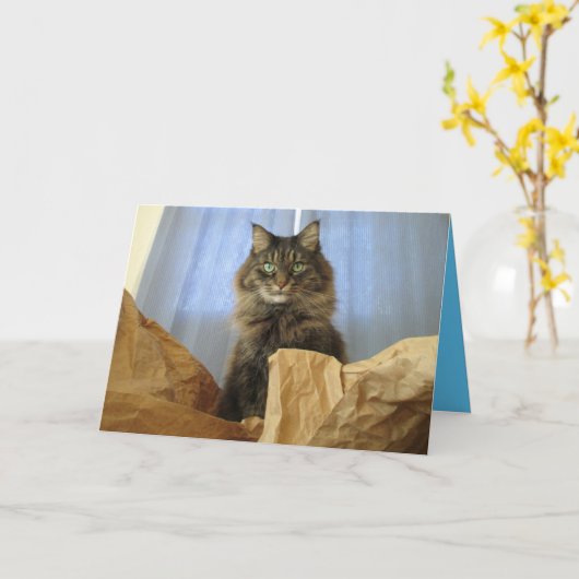 Maine Coon Kitten Kat Cute Aanpasbare Kaart (Gele Bloem)