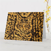 Maine Coon kitten kat luipaardprint tijger camoufl Kaart (Gele Bloem)