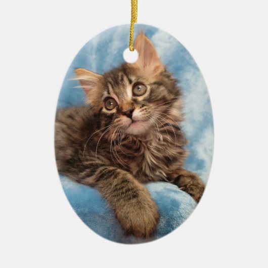 Maine Coon Kitten Ornament (Voorkant)
