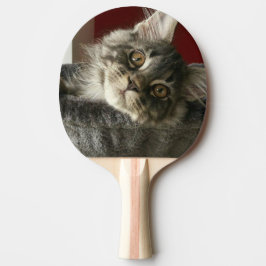 Maine Coon Kitten Ping Pong Paddle Tafeltennisbatje