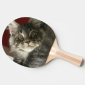 Maine Coon Kitten Ping Pong Paddle Tafeltennisbatje (Zijkant)