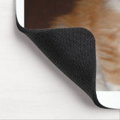 maine coon kitten.png muismat (Hoek)