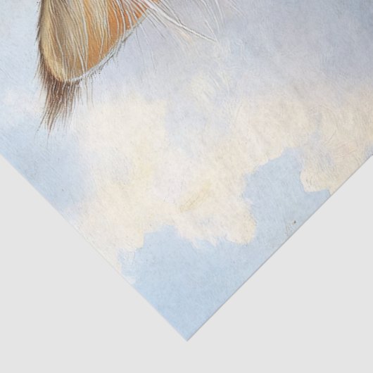 Maine Coon Kitten Portret Decoupage Tissuepapier (Detail)