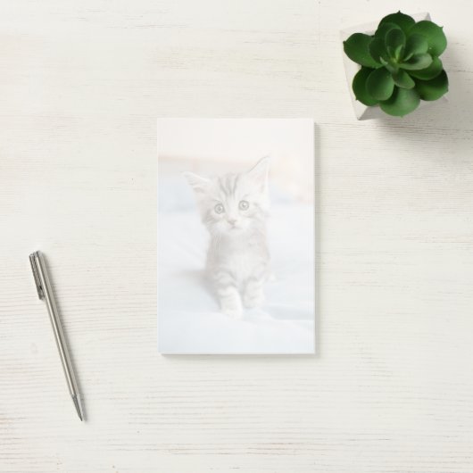 Maine Coon Kitten Post-it® Notes (Kantoor)