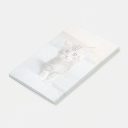 Maine Coon Kitten Post-it® Notes (Schuin)