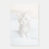 Maine Coon Kitten Post-it® Notes (Voorkant)