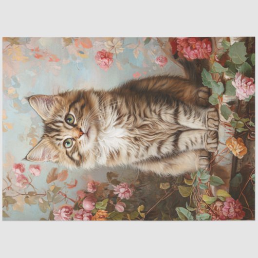  Maine Coon Kitten Schilderij Decoupage Tissuepapier (Voorkant)