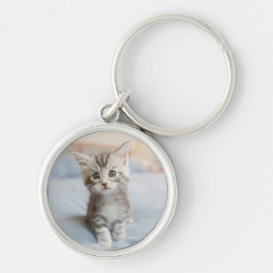 Maine Coon Kitten Sleutelhanger