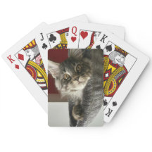 Maine Coon Kitten Speelkaarten