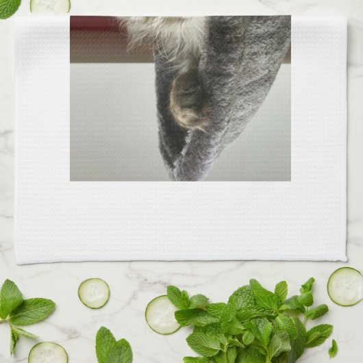 Maine Coon Kitten Tea Towel Theedoek (Gevouwen)