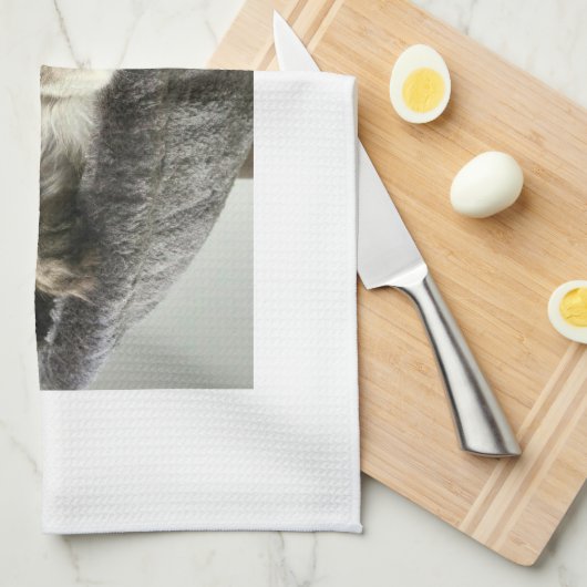 Maine Coon Kitten Tea Towel Theedoek (Quarter Fold)