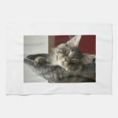 Maine Coon Kitten Tea Towel Theedoek (Horizontaal)