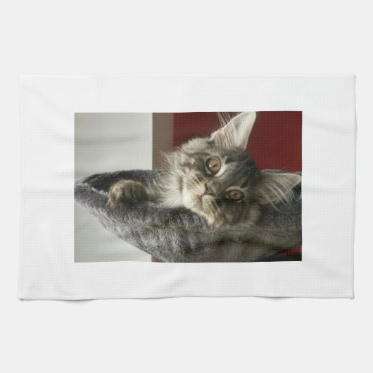 Maine Coon Kitten Tea Towel Theedoek (Horizontaal)