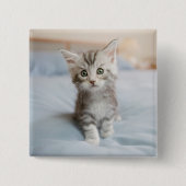 Maine Coon Kitten Vierkante Button 5,1 Cm (Voorkant)