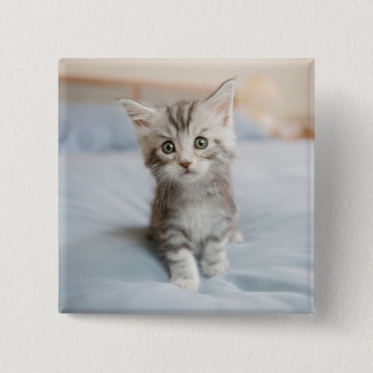 Maine Coon Kitten Vierkante Button 5,1 Cm (Voorkant)