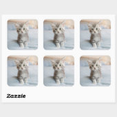 Maine Coon Kitten Vierkante Sticker (Vel)