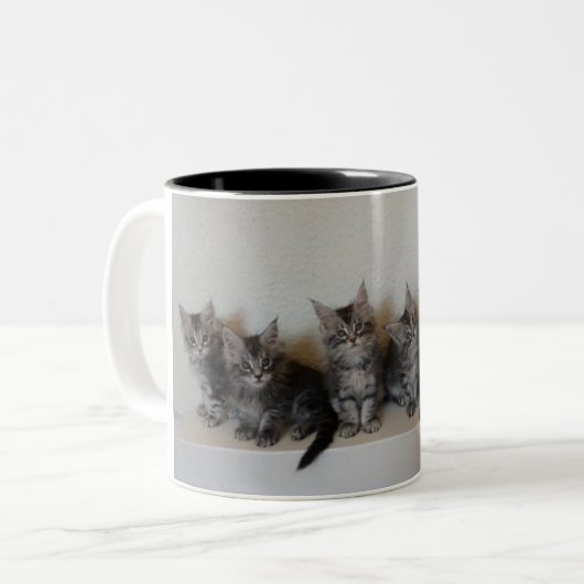 Maine Coon kittens Mok (Voorkant links)