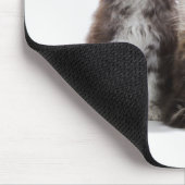 Maine Coon Kittens Muismat (Hoek)