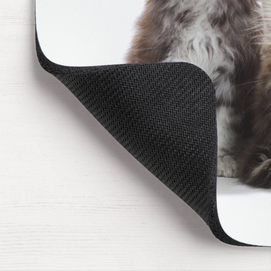 Maine Coon Kittens Muismat (Hoek)