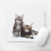 Maine Coon Kittens Muismat (Met muis)