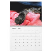 Maine Coon Kitty Cat Calendar Kalender (Jan 2027)