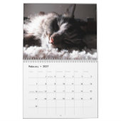 Maine Coon Kitty Cat Calendar Kalender (Feb 2027)