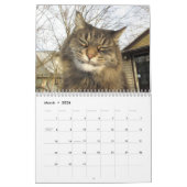 Maine Coon Kitty Cat Cute 2021 Kalender (Mar 2026)