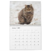 Maine Coon Kitty Cat Cute 2021 Kalender (Jan 2027)