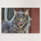 Maine Coon Kitty Cat Cute Fun Animal Legpuzzel (Horizontaal)