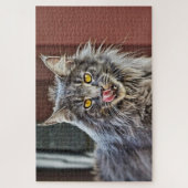 Maine Coon Kitty Cat Cute Fun Animal Legpuzzel (Verticaal)