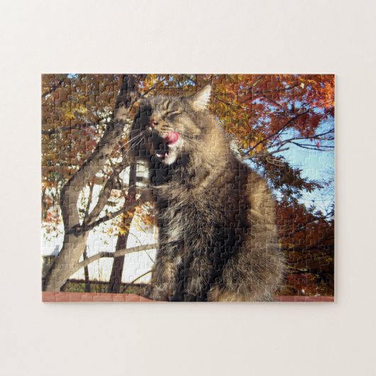 Maine Coon Kitty Cat Cute Fun Animal Legpuzzel (Horizontaal)