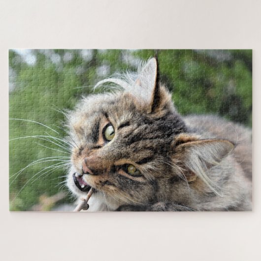 Maine Coon Kitty Cat Cute Fun Animal Legpuzzel (Horizontaal)